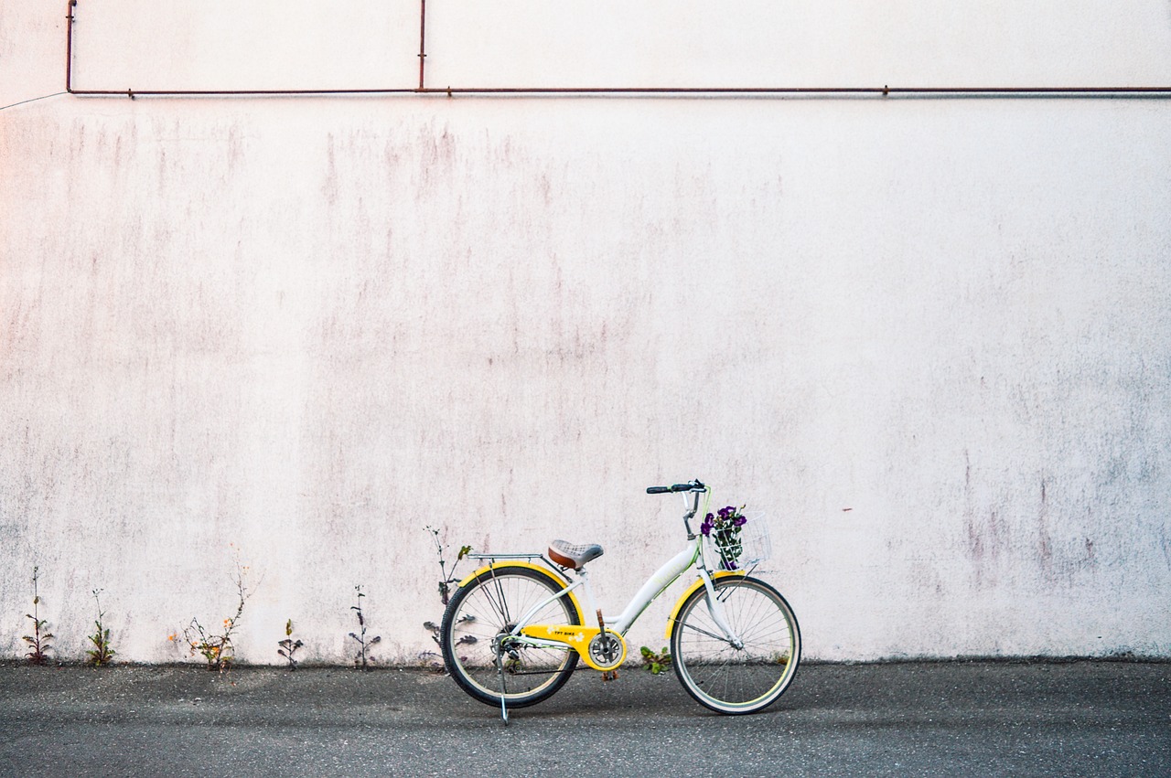 What Exactly is a Carbon Neutral Lifestyle?